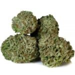 God Bud Cannabis Strain
