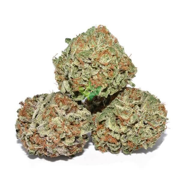 God’s Gift Weed Strain