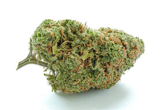 Green Crack Cannabis Strain