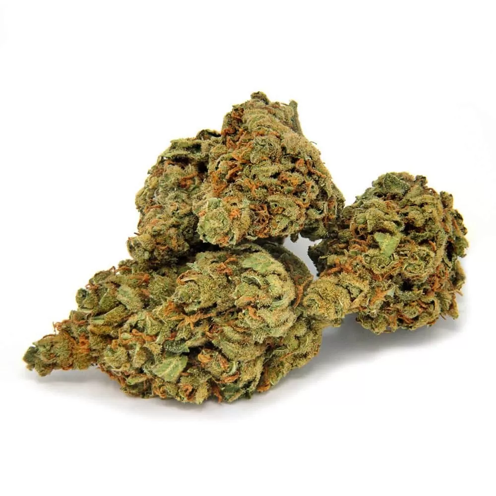 Gummy Bears Weed Strain