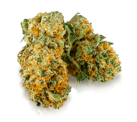 Harlequin Weed Strain