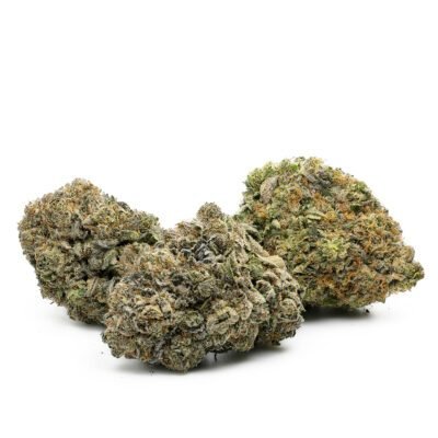 Kush Sorbet Marijuana Strain