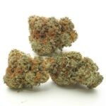 LA Kush Cake Cannabis