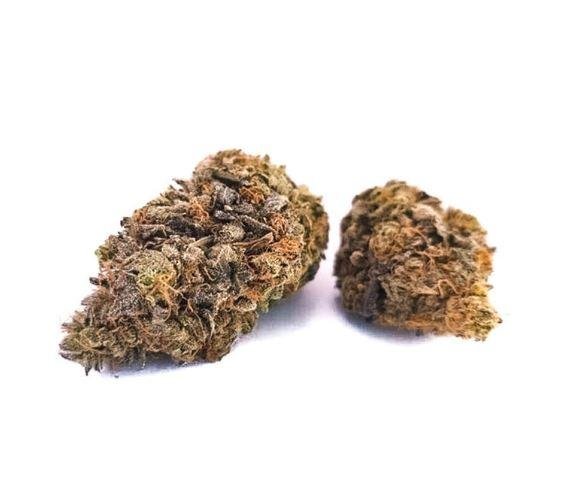 Lavender Marijuana Strain