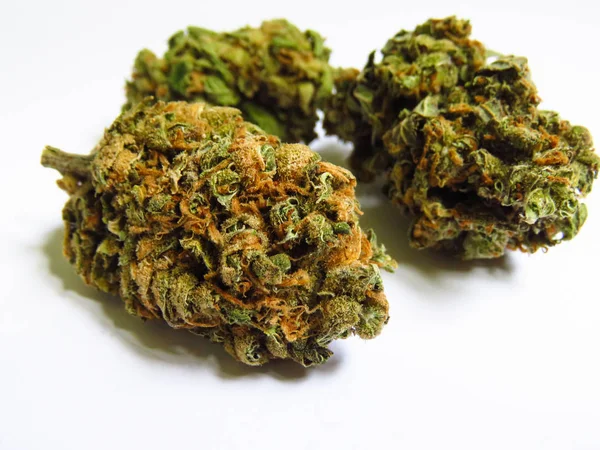 Lemon Haze Marijuana Strain