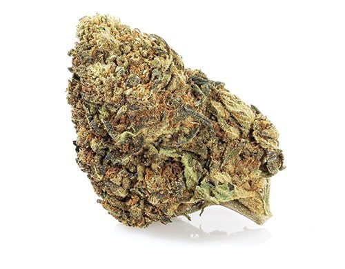 Master Kush Weed Strain