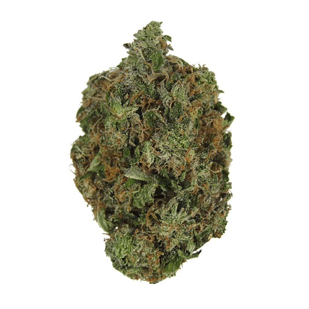 Master Pink Marijuana Strain