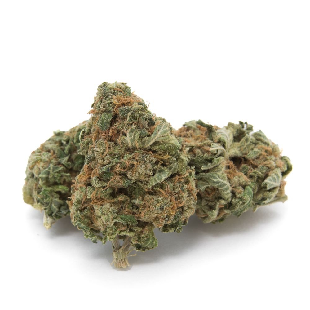 Mendo Breath Marijuana Strain