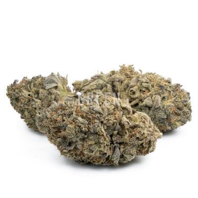 Mendocino Purps Marijuana Strain