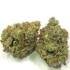 Purple Punch Marijuana Strain