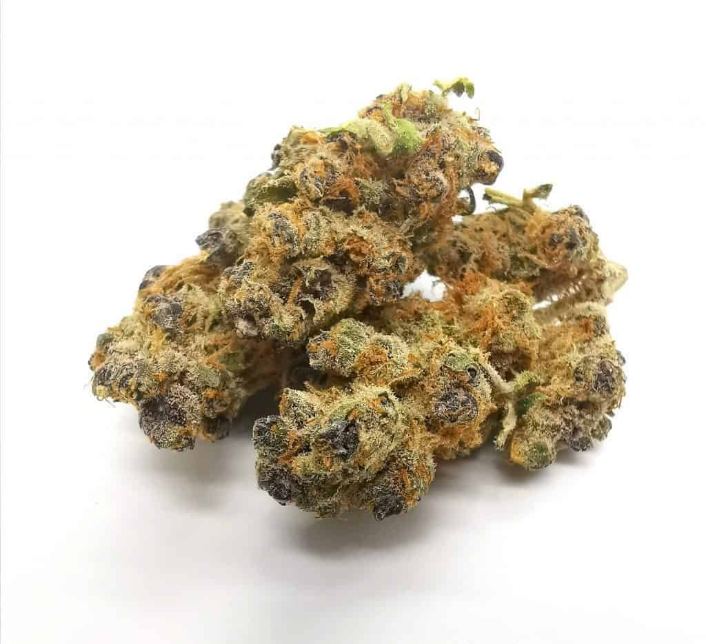 Rafael Marijuana Strain