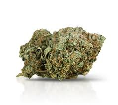 Raspberry Cookies Marijuana Strain
