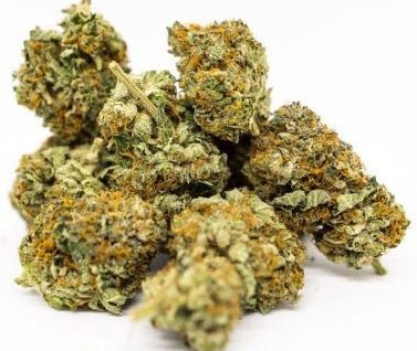 Rockstar Cannabis Strain