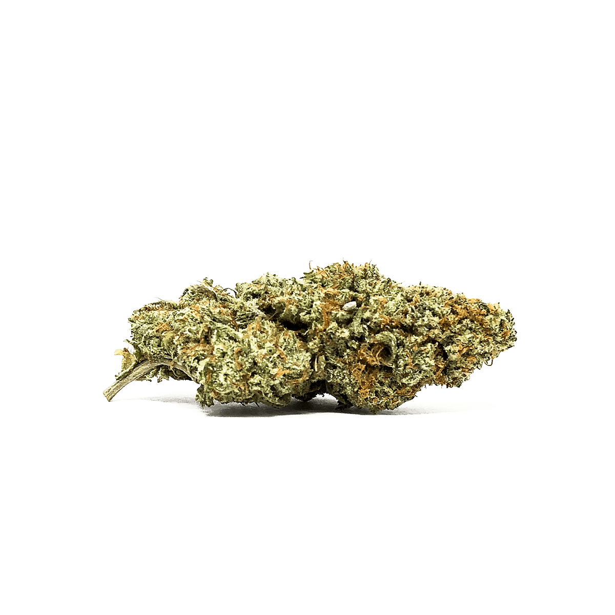 Star Power Marijuana Strain