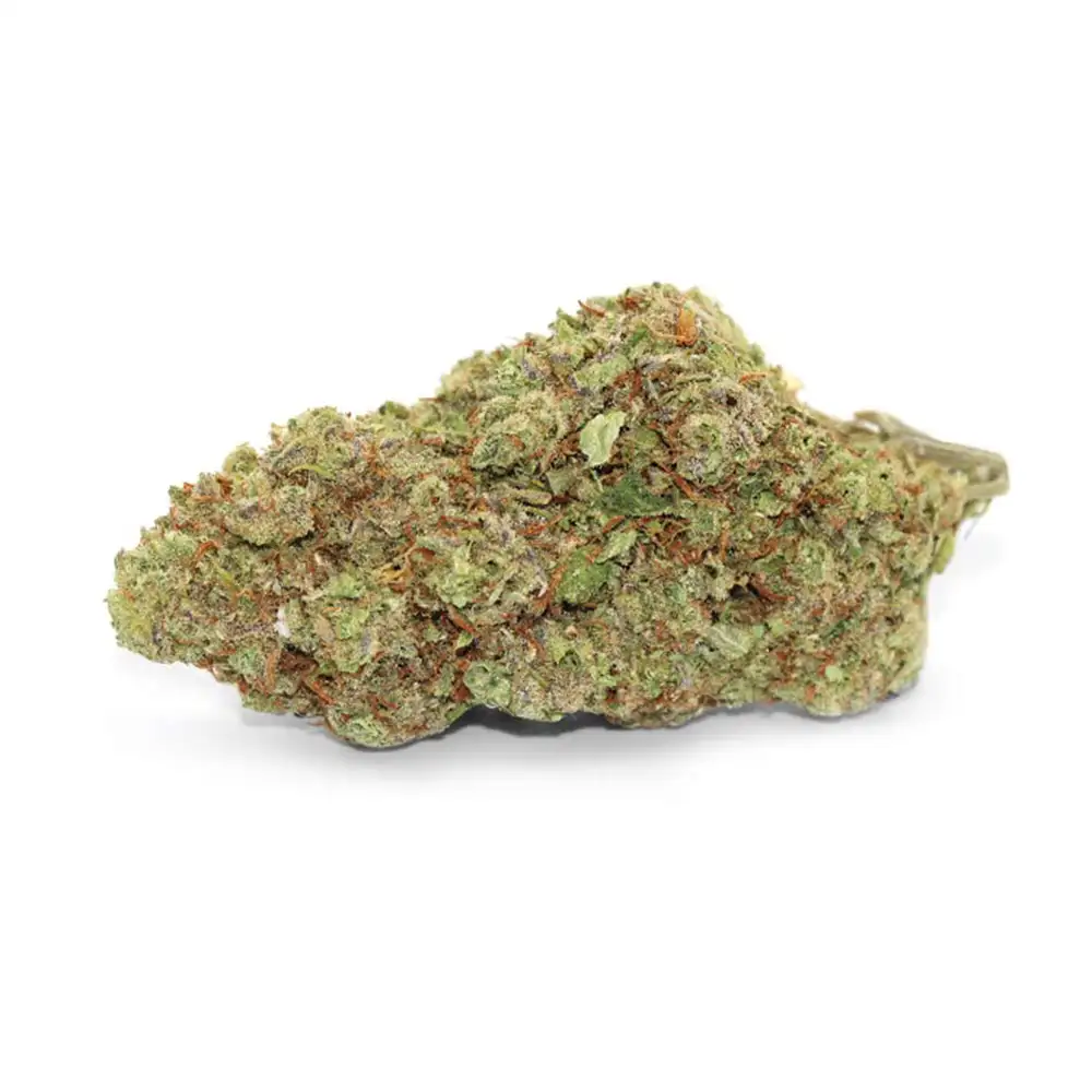 Twisted Citrus Weed Strain
