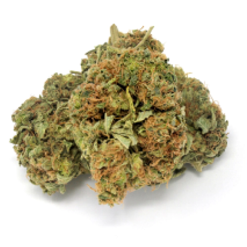 UK Cheese Weed Strain