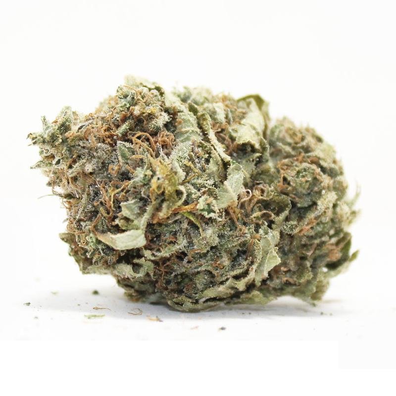White Widow Marijuana Strain