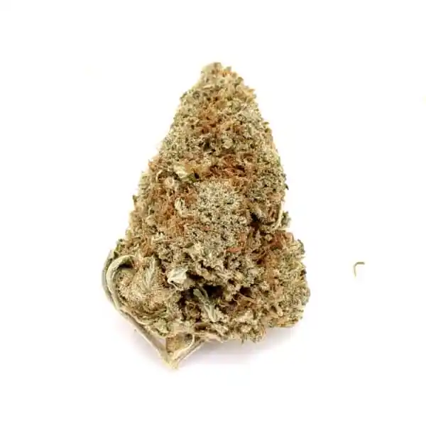 Willy Wonka Weed Strain