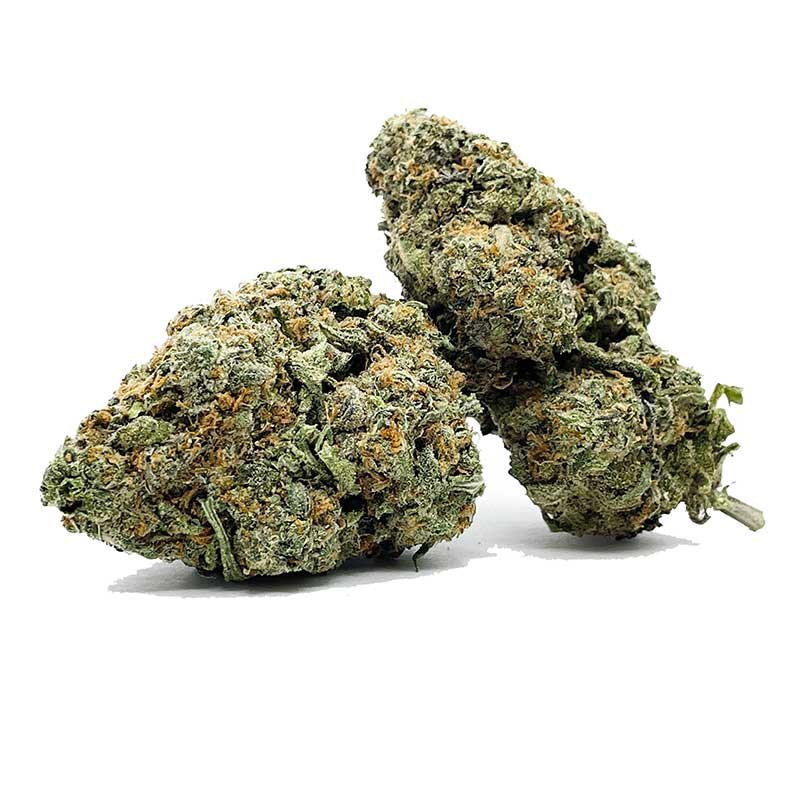 Zombie Kush Marijuana Strain