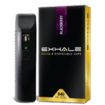 Delta 8 Disposable Vape Pen – Black Berry