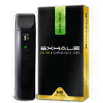 Delta 8 Disposable Vape Pen – Cactus Cooler