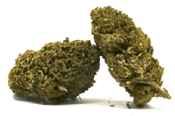 Fruity Pebbles Delta 8 Hemp Flower