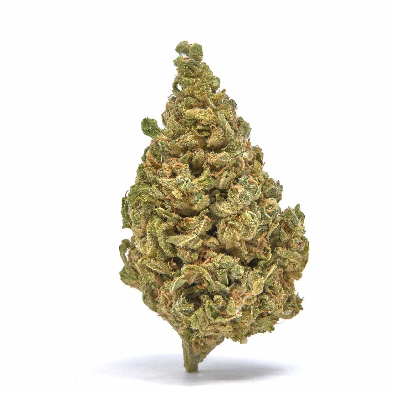 White Whale CBG/Delta 8 Hemp Flower