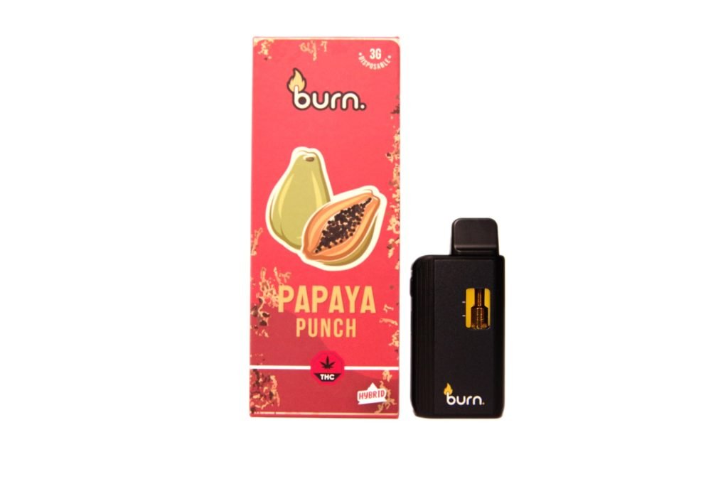 Burn Extracts – Papaya Punch Mega Sized Disposable Pen