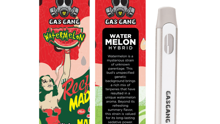 Gas Gang – Watermelon Disposable Pen